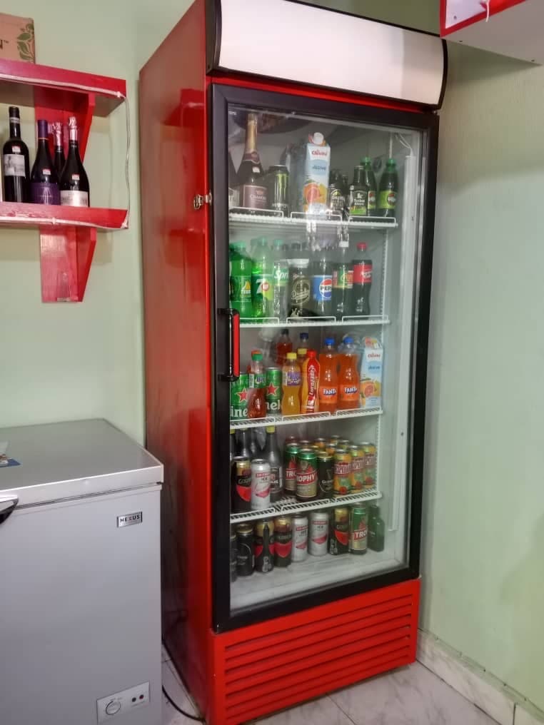 650 Litres Frigorex Commercial Chiller