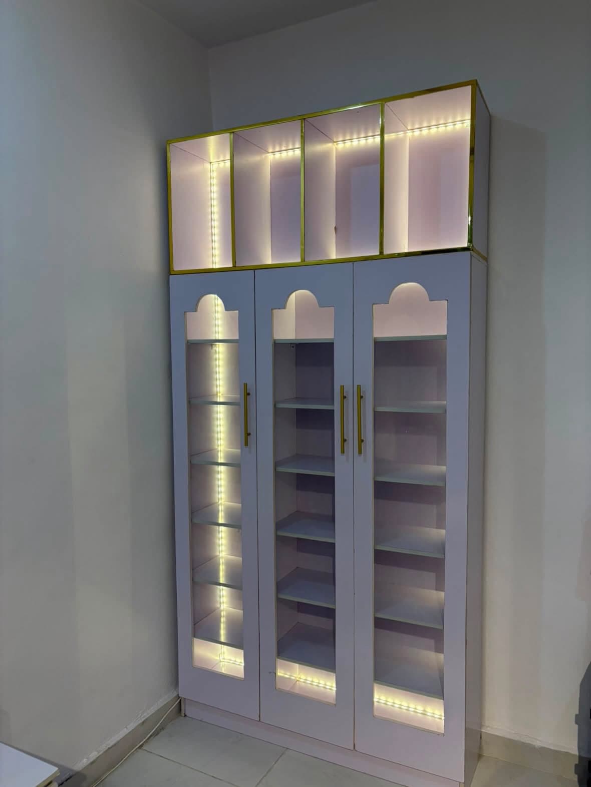 Shoe and Bag Rack with Light
