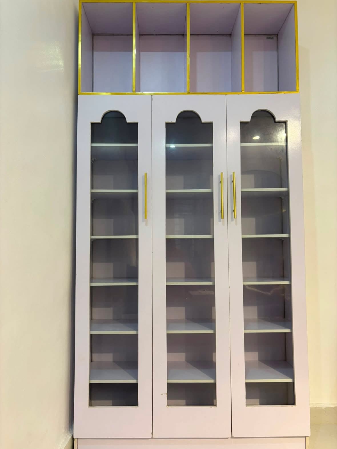 Shoe and Bag Rack with Light